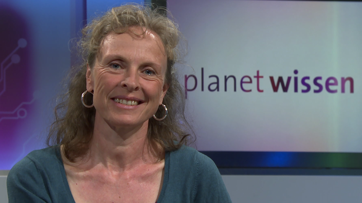 Portraitaufnahme von Imke Reese im Planet Wissen-Studio. | Bildquelle: SWR Portraitaufnahme von Imke Reese im Planet Wissen-Studio.