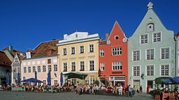 Altstadt von Tallin, Estland.