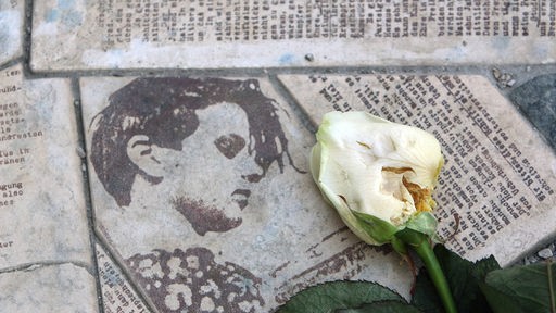 "Gedenkstätte Weiße Rose" an der Universität in München: Auf einem Portrait von Sophie Scholl liegt eine weiße Rose 