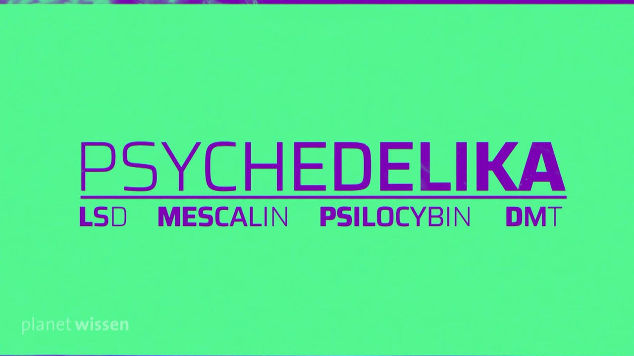 Grüne Tafel auf der in lila 'Psychedelika' staht. Darunter steht in kleinerer Schrift 'LSD', 'Mescalin', 'Psilocybin' und 'DMT'.