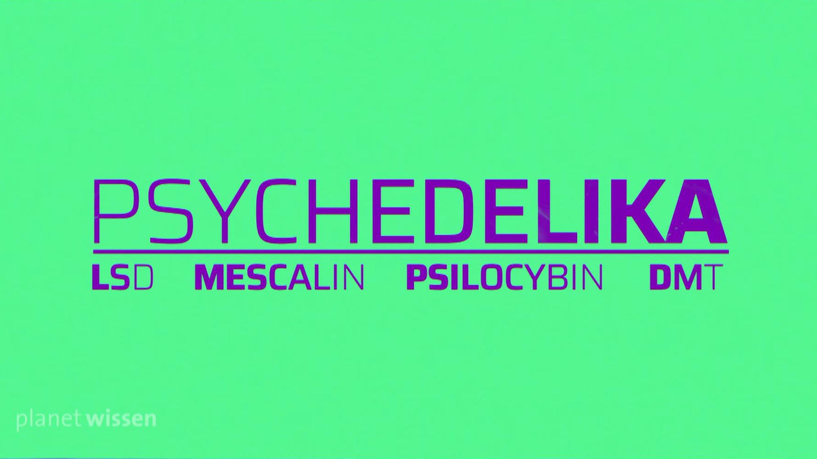 Grüne Tafel auf der in lila 'Psychedelika' staht. Darunter steht in kleinerer Schrift 'LSD', 'Mescalin', 'Psilocybin' und 'DMT'.