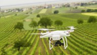 Eine Drohne fliegt über einen Weinberg 