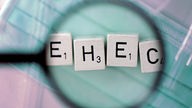 Scrabbel-Buchstaben zu Wort "EHEC" zusammengelegt unter Lupe.