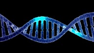 Ein Stück DNA-Strang