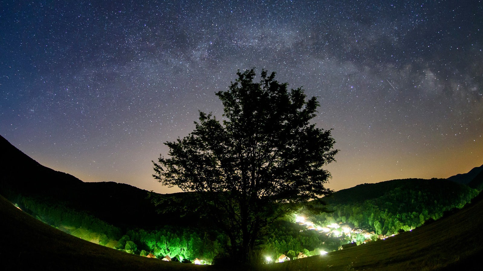 Die Milchstraße scheint am Horizont hinter einem Baum