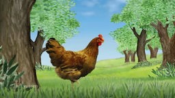 Computergrafik: Ein Huhn auf einer Wiese unter Bäumen