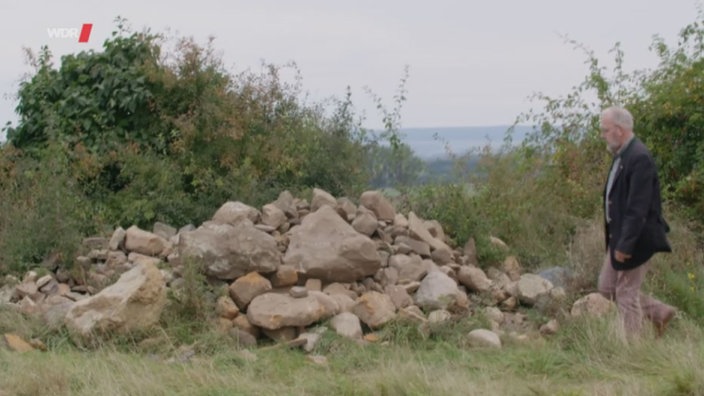 Ein älterer Mann mit grauem Haar und Bart geht, von rechts kommend, an einem Steinhaufen im Gebüsch vorbei.