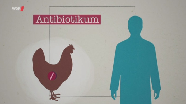 Ein gezeichnetes Huhn hat eine Tablette im Bauch. Daneben steht ein Mensch. Linien verdeutlichen einen Kreislauf durch den das Medikament vom Huhn in den Menschen gelangt.