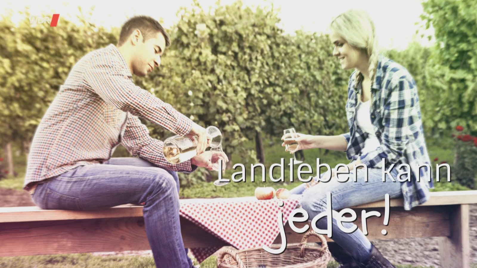 Ein Paar beim Picknick in einer Apfelplantage