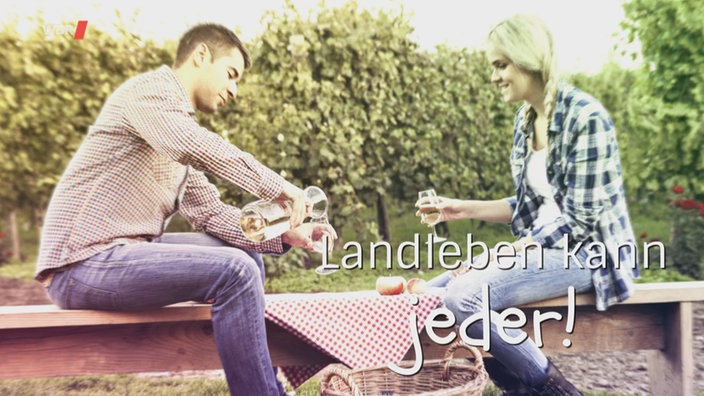 Ein Paar beim Picknick in einer Apfelplantage