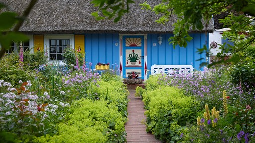 Garten mit blauem Gartenhaus.