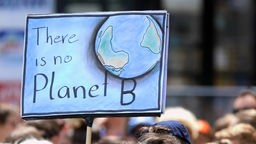 Schild "There is no Planet B".