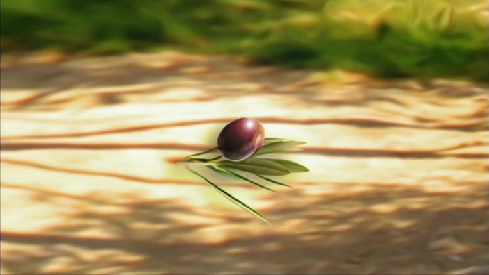 Screenshot aus dem Film "Die Olive – eine typische Mittelmeerfrucht"