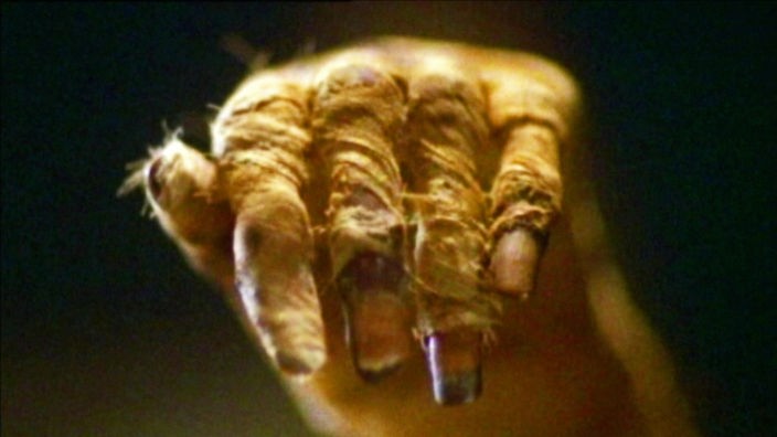 Hand einer Mumie