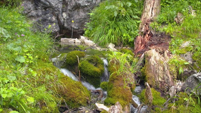 Quellen Nationalpark Berchtesgaden 