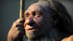 Neandertaler