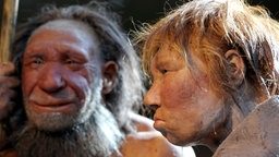 Porträt von zwei Neandertalern; Rechte: dpa