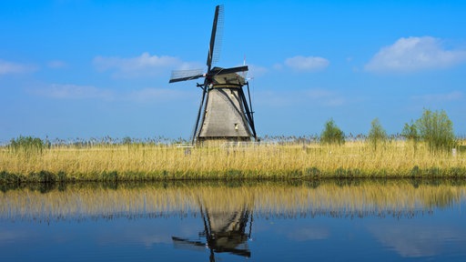 Windmühle in Kinderdijk
