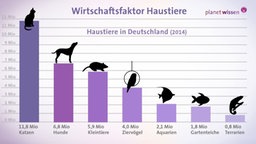Wirtschaftsfaktior Haustiere