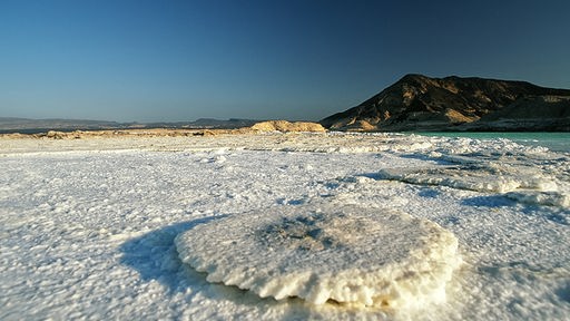 Ein pilzförmiges Salzgebilde im Abbe-See.