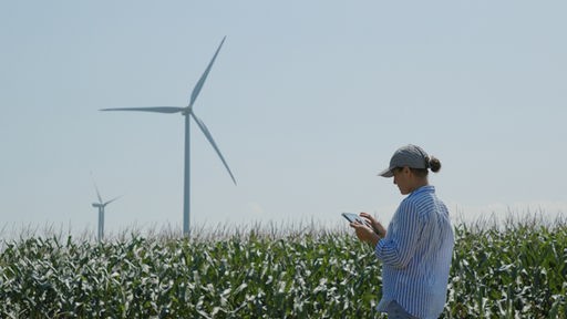 Eine Person steht mit einem Tablett an einem Maisfeld, im Hintergrund sieht man zwei Windräder.