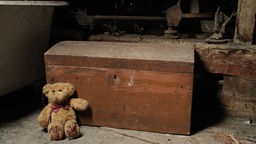 Teddybär und verstaubte Truhe auf einem Dachboden