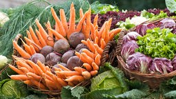 Gemüsekörbe mit verschiedenen Kohl- und Gemüsesorten 
