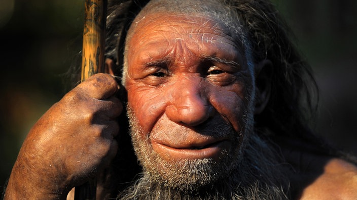 Kopf eines rekonstruierten Neandertalers | Bildquelle: dpa/Federico Gambarini Kopf eines rekonstruierten Neandertalers