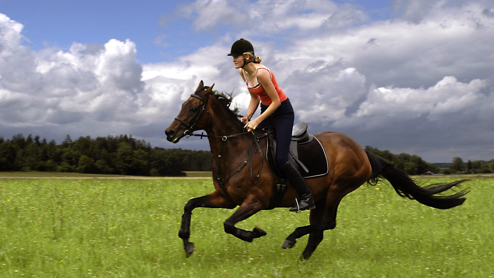Junge Frau reitet auf einem Pferd über eine Wiese