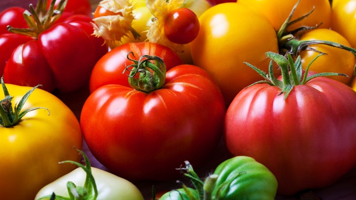 Tomaten in roter, gelber und grüner Farbe