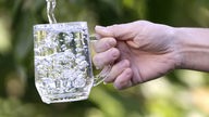 Glas wird mit Leitungswasser aufgefüllt.