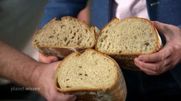 Drei verschiedene angeschnittene Brotlaibe werden nebeneinander gehalten.