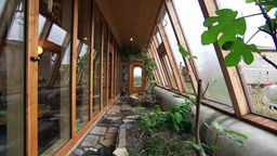 Ein von Glasfenstern gesäumter Gang mit Natursteinboden und Pflanzen in kleinen Beeten.