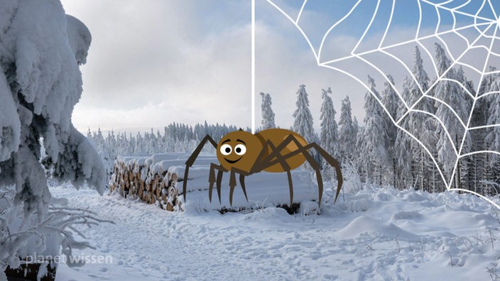 Computeranimierte Spinne vor einem verschneiten Waldstück