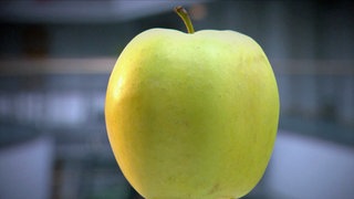 Apfel-Test