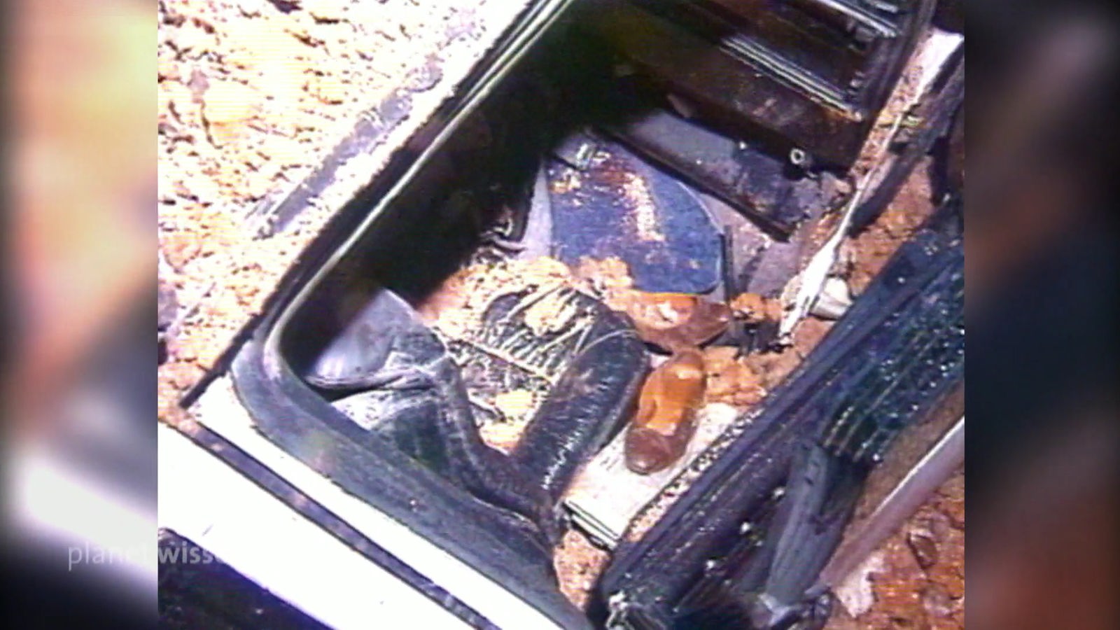 Foto eines ausgebombten Autos.