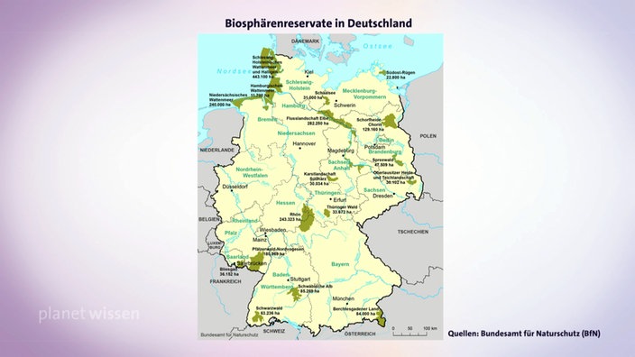 Karte der Biosphärenreservate in Deutschland. | Bildquelle: SWR Freeze Karte der Biosphärenreservate in Deutschland.