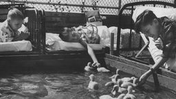 Schwarzweißfoto: Kranke Kinder in Betten spielen mit kleinen Entchen in einem Wasserbecken.