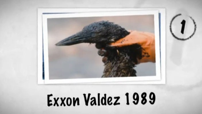 Foto von einem ölverschmierten Kormoran nach dem Tankerunglück der Exxon Valdez. 