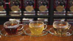 Schwarzer, Grüner und Weißer Tee abgefüllt in je eine gläserne Tee-Tasse.