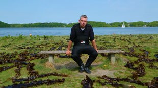 Ein Mann sitzt auf einer Holzbank in einer Wiese. Um ihn sind Algen zum Trocknen ausgebreitet. Im Hintergrund sieht man blaues Wasser.
