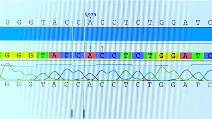 Blick auf einen Monitor mit genetischen Sequenzen.