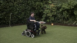 Ein junger Mann in einem Rollstuhl mit Tennisschläger auf einem Rasen im Garten.