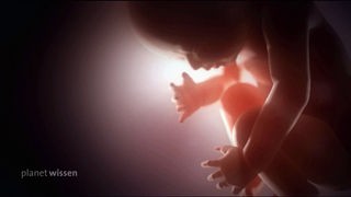Aufnahme eines ungeborenen Kindes hinter dem eine Lichtquelle strahlt.