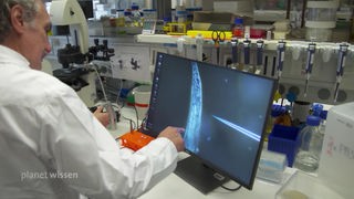 Ein älterer Mann in weißem Laborkittel zeigt auf einen Monitor, der in einem Labor steht.