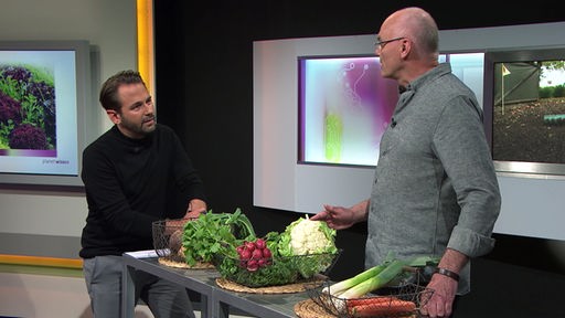 Dennis Wilms und Burkhard Bohne an einem Tisch mit verschiedenen Gemüsesorten.