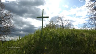 Ein grünes Kreuz steht in einer Wiese.