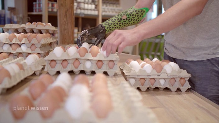 Intelligente Handprothese hilft beim Sortieren von Eiern
