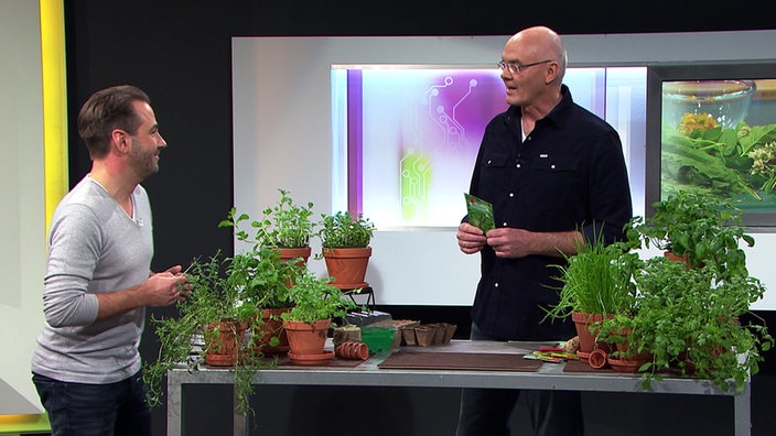 Gärtnermeister Burkhard Bohne gemeinsam mit Dennis Wilms im Planet Wissen Studio.