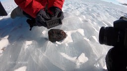 Wissenschaftler dokumentieren einen Meteoritenfund in der Antarktis.